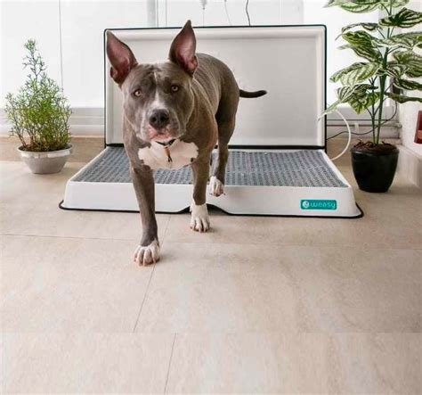 waesy|Banheiros Inteligentes para Cachorro, Gato e Coelho .